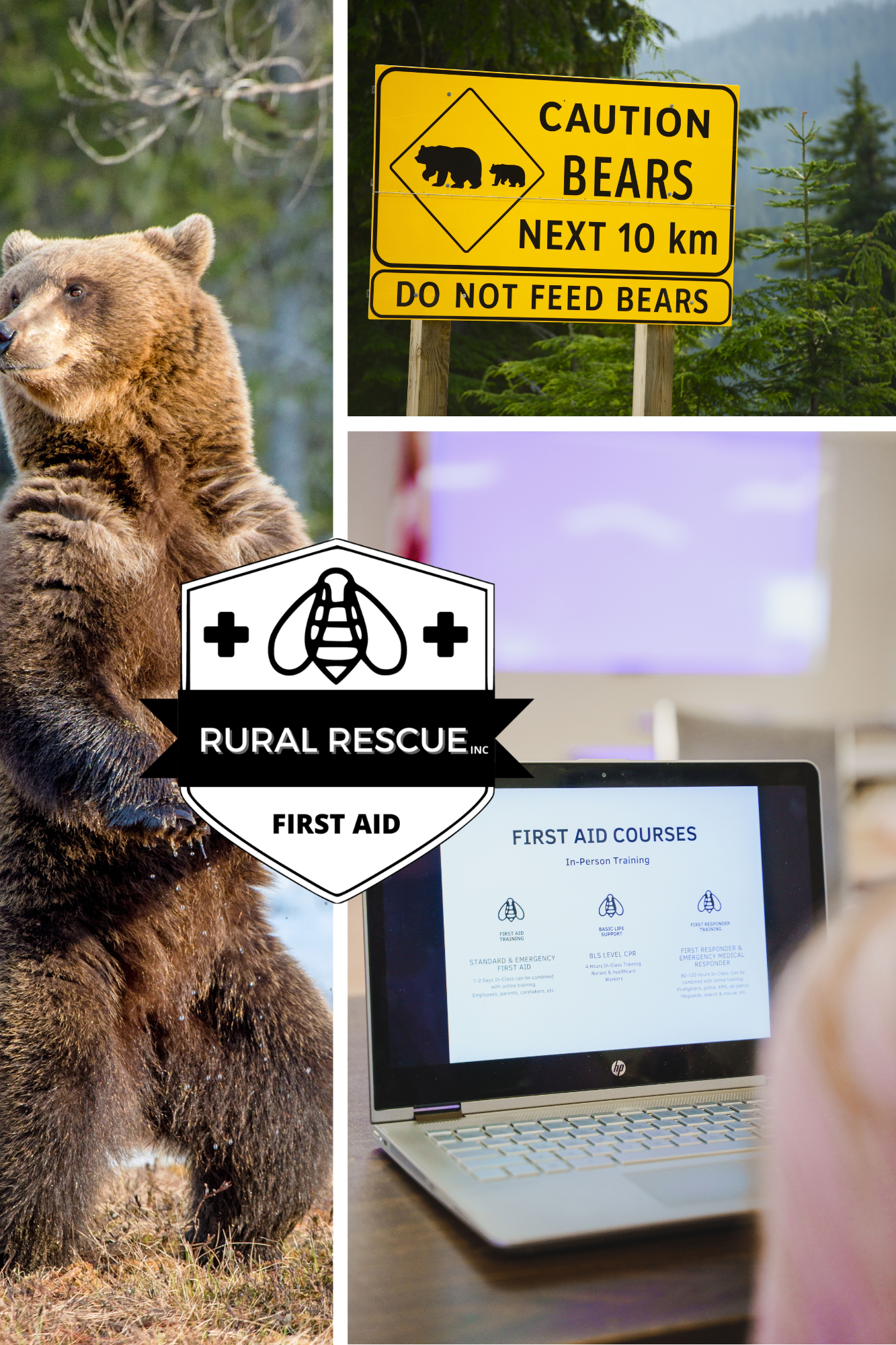 Bear Aware: Travelling in Bear Country
