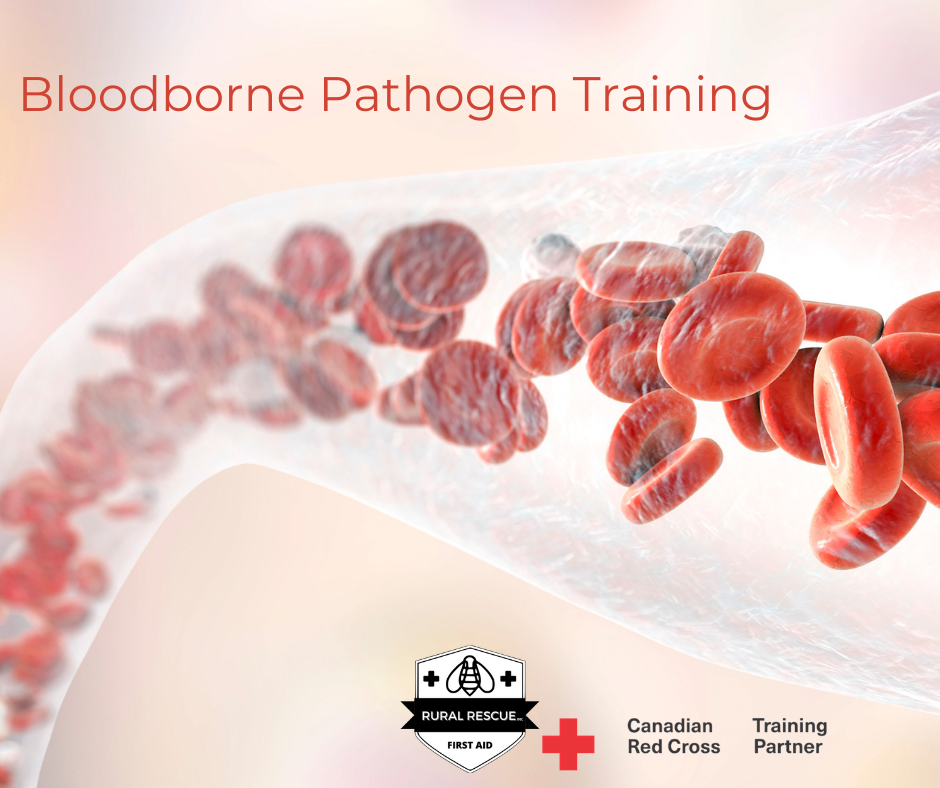 BLOODBORNE PATHOGENS
