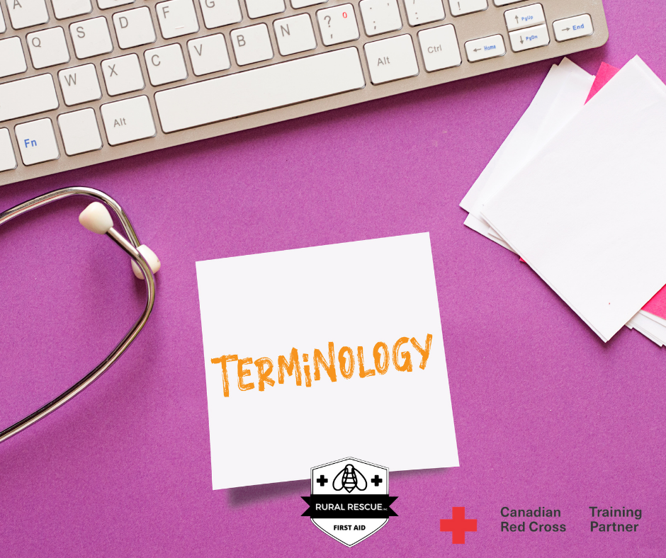 MEDICAL TERMINOLOGY