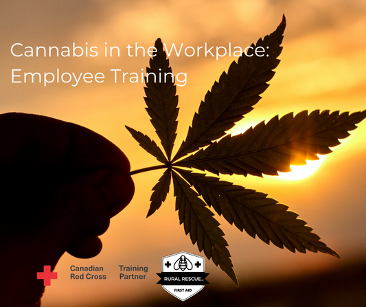 CANNABIS IN THE WORKPLACE: TRAINING FOR WORKERS (EN OR FR)