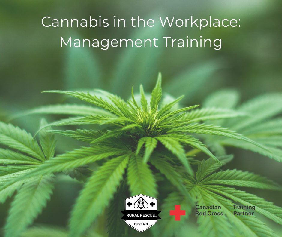 CANNABIS IN THE WORKPLACE: MANAGEMENT TRAINING (EN OR FR) – Rural ...