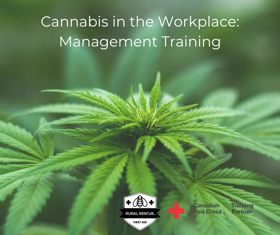 CANNABIS IN THE WORKPLACE: MANAGEMENT TRAINING (EN OR FR)