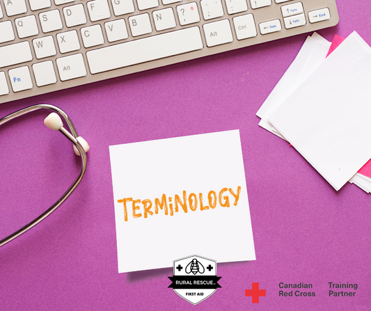 MEDICAL TERMINOLOGY (EN)
